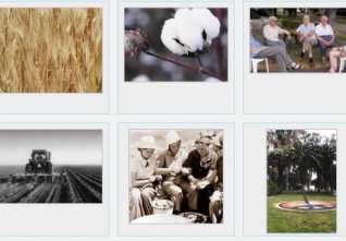 Kefar Masaryk trosky starého webuC 