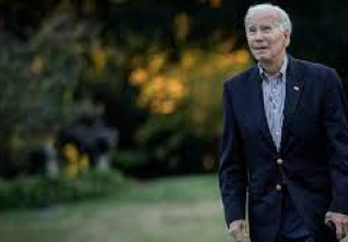 biden garden solo