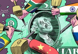 brics dolar china