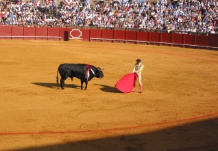 corrida